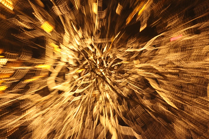 Illustration for article titled Zoom Photo Challenge Gallery 2